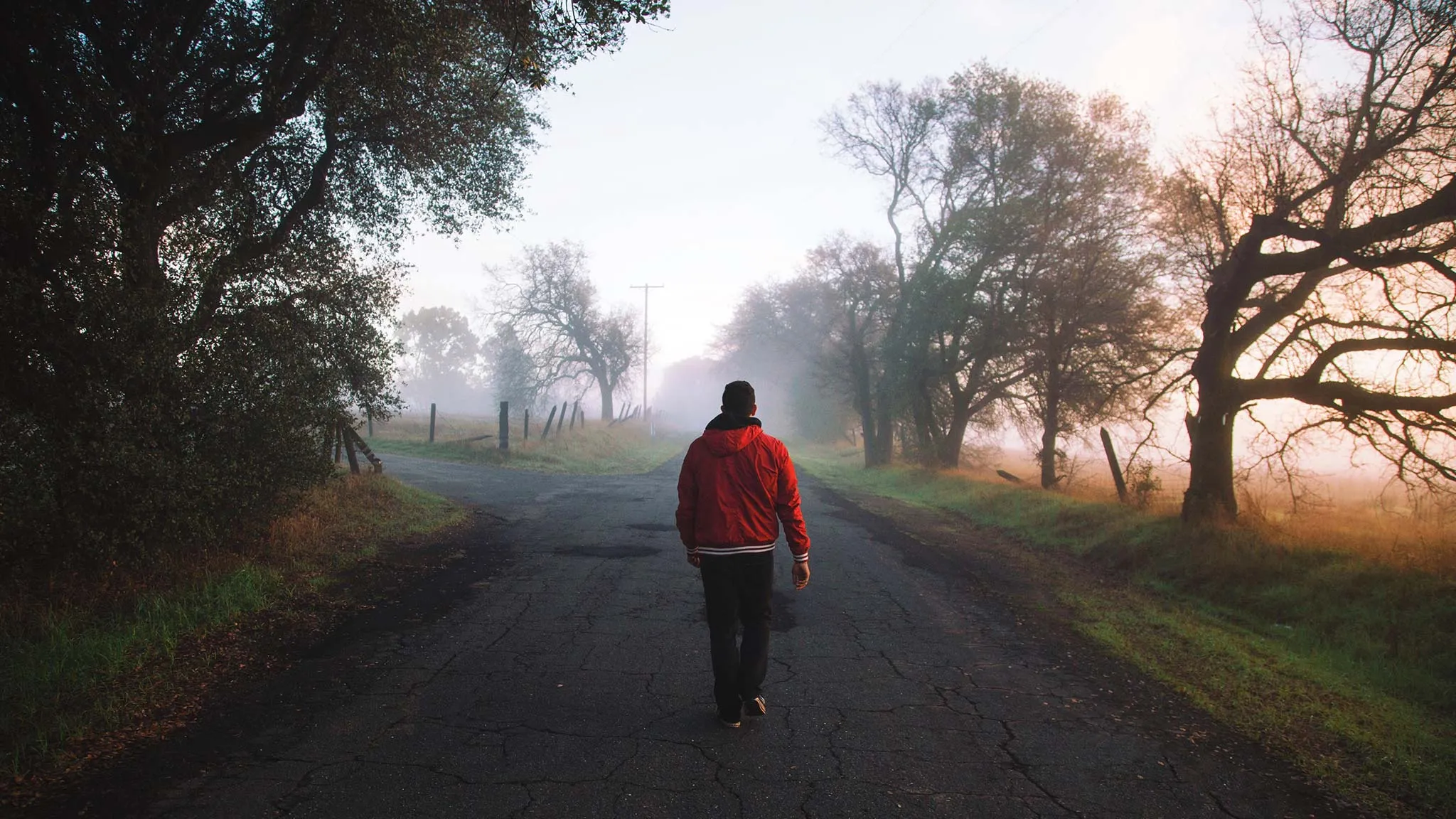 Crossroads of Courage: Striking the Balance in Adversity